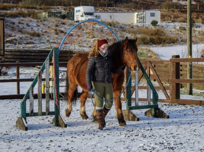 Coaching thérapeutique assisté par les chevaux