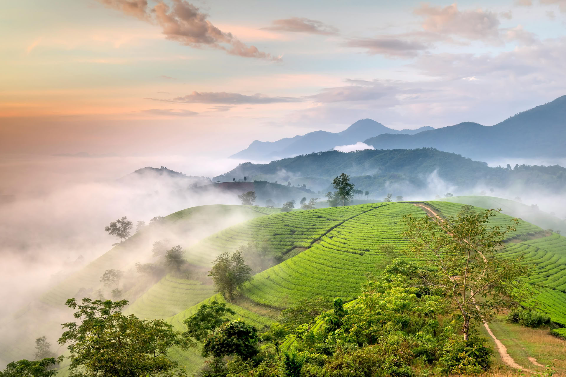 Retraite Panchakarma au Kerala