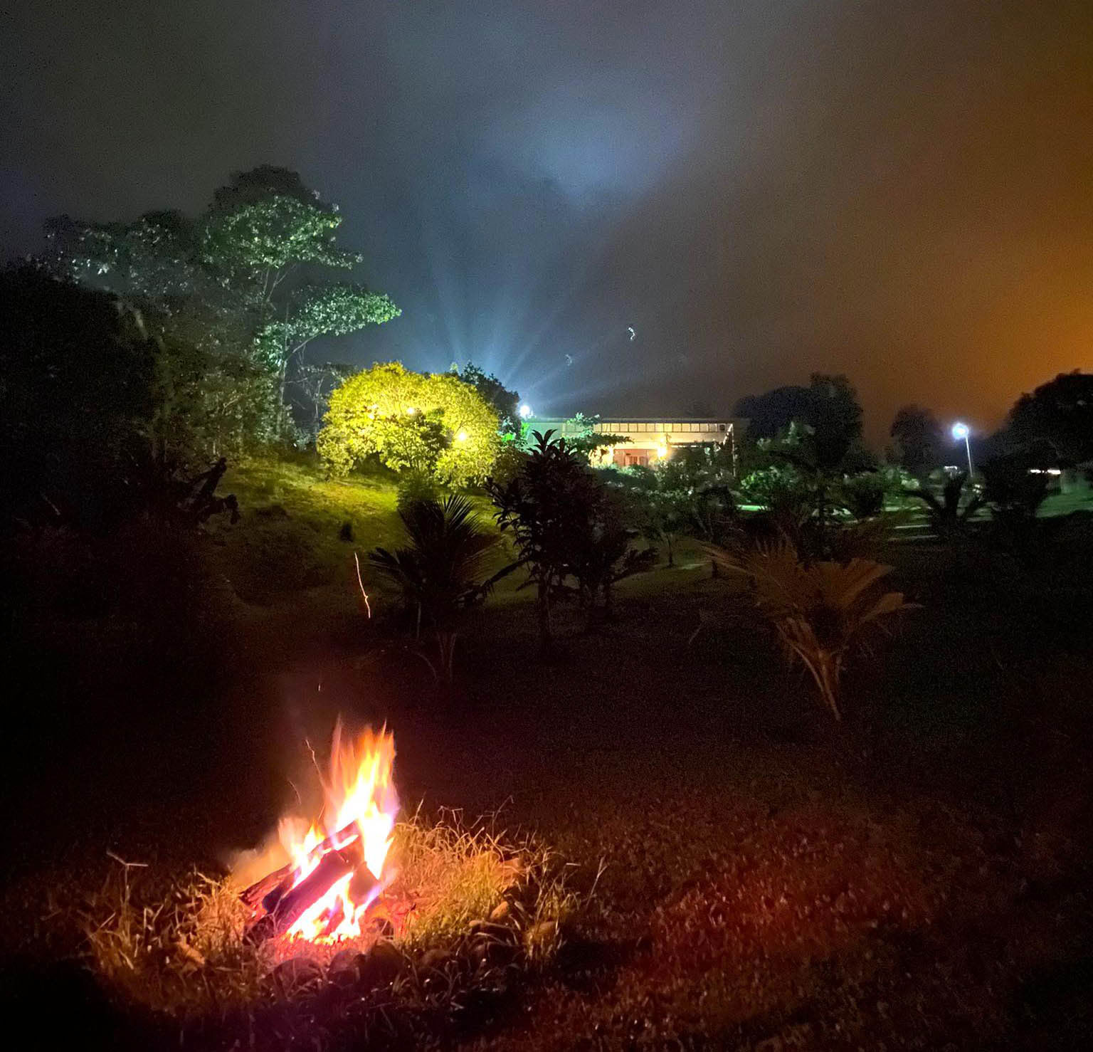 Cérémonie Terre Vivante : Voyage Intérieur et Rythme Naturel