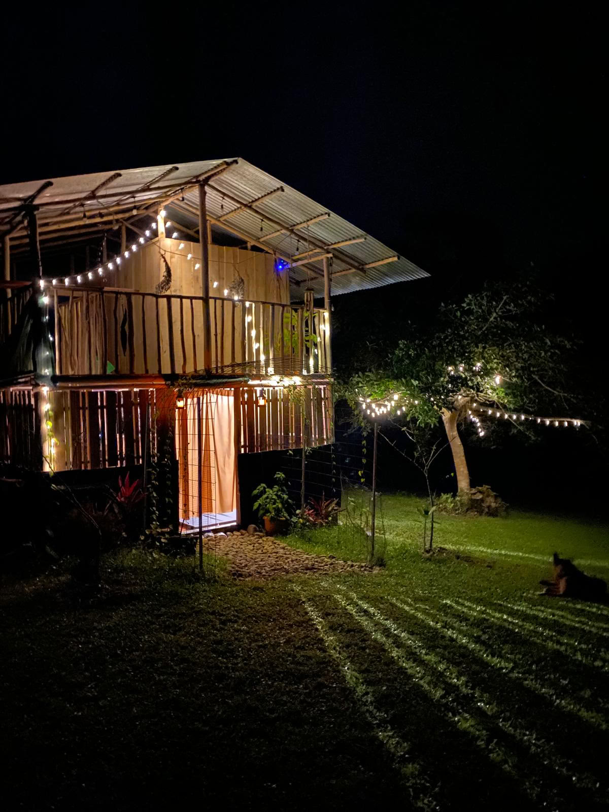 Retraite privée au psilocybine au Costa Rica