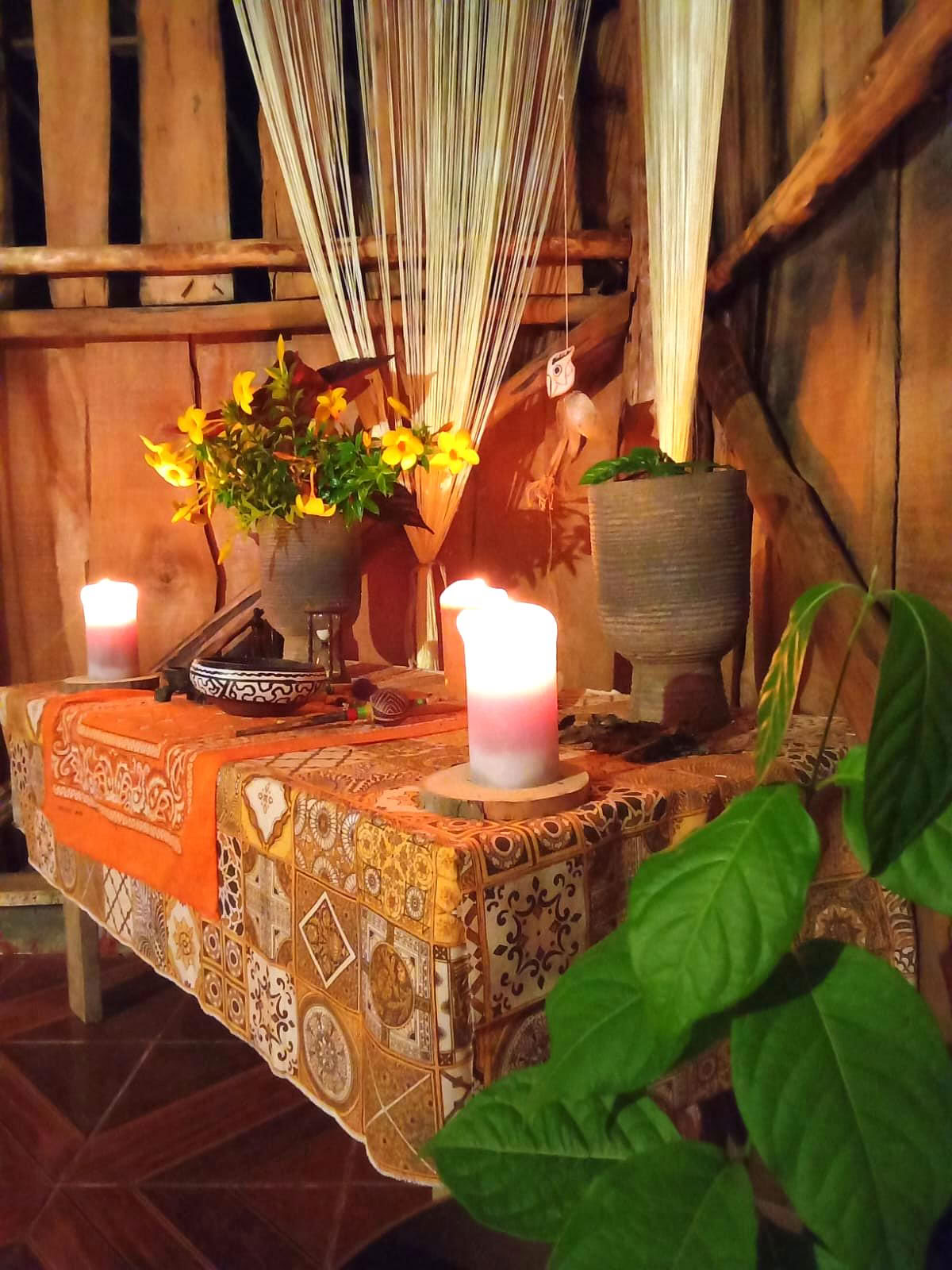 Séances individuelles de psilocybine