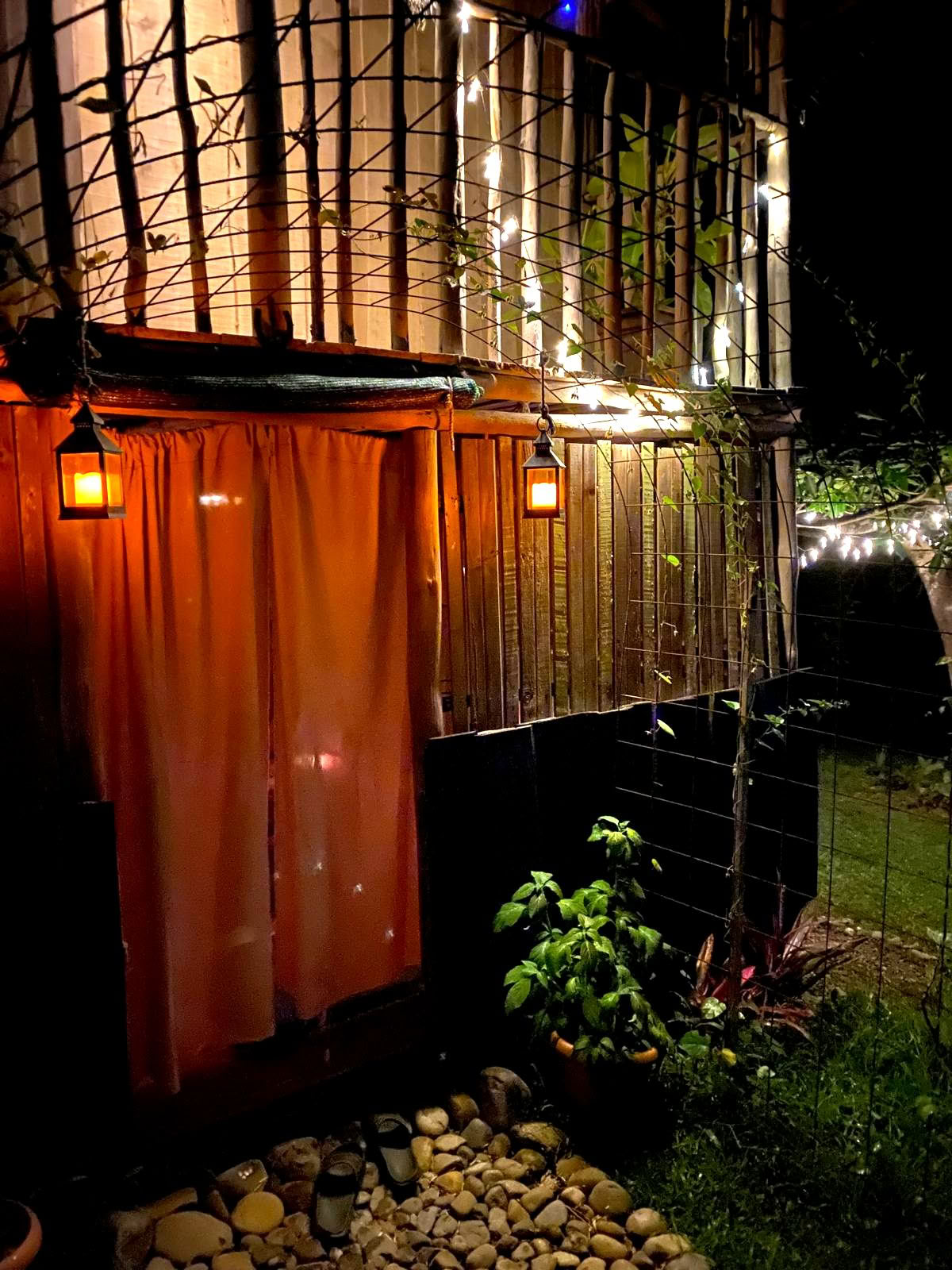 Cérémonie privée de psilocybine au Costa Rica