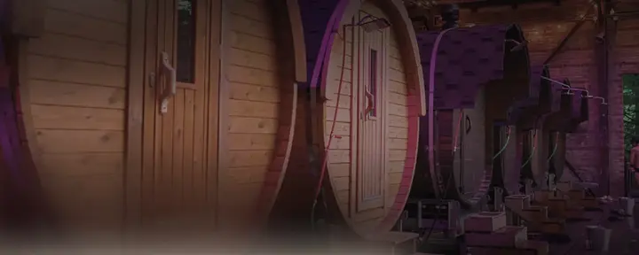 Festival du sauna de Toronto
