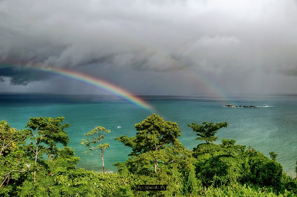 3–13 juillet 2026 | Péninsule d’Osa, Costa Rica