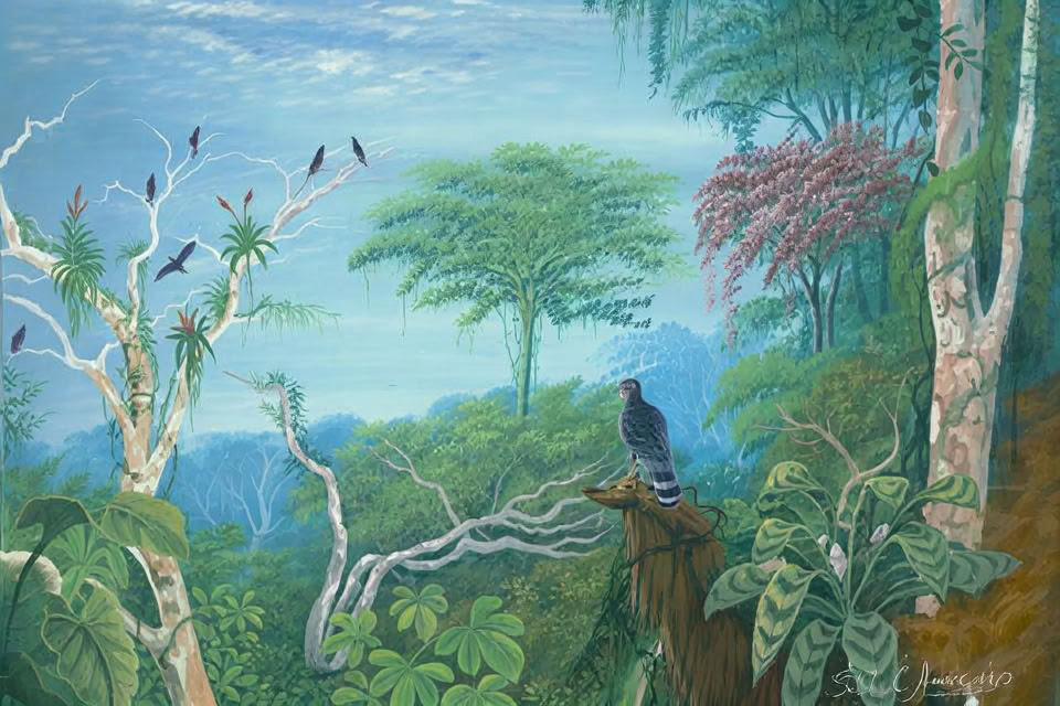 2–7 février 2027 | expérience de camping en forêt tropicale à Cocoterra, au Costa Rica