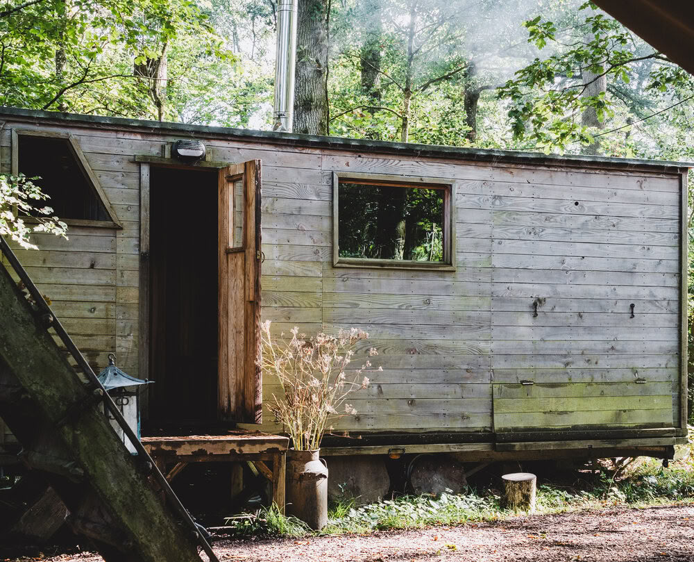 Sauna en forêt