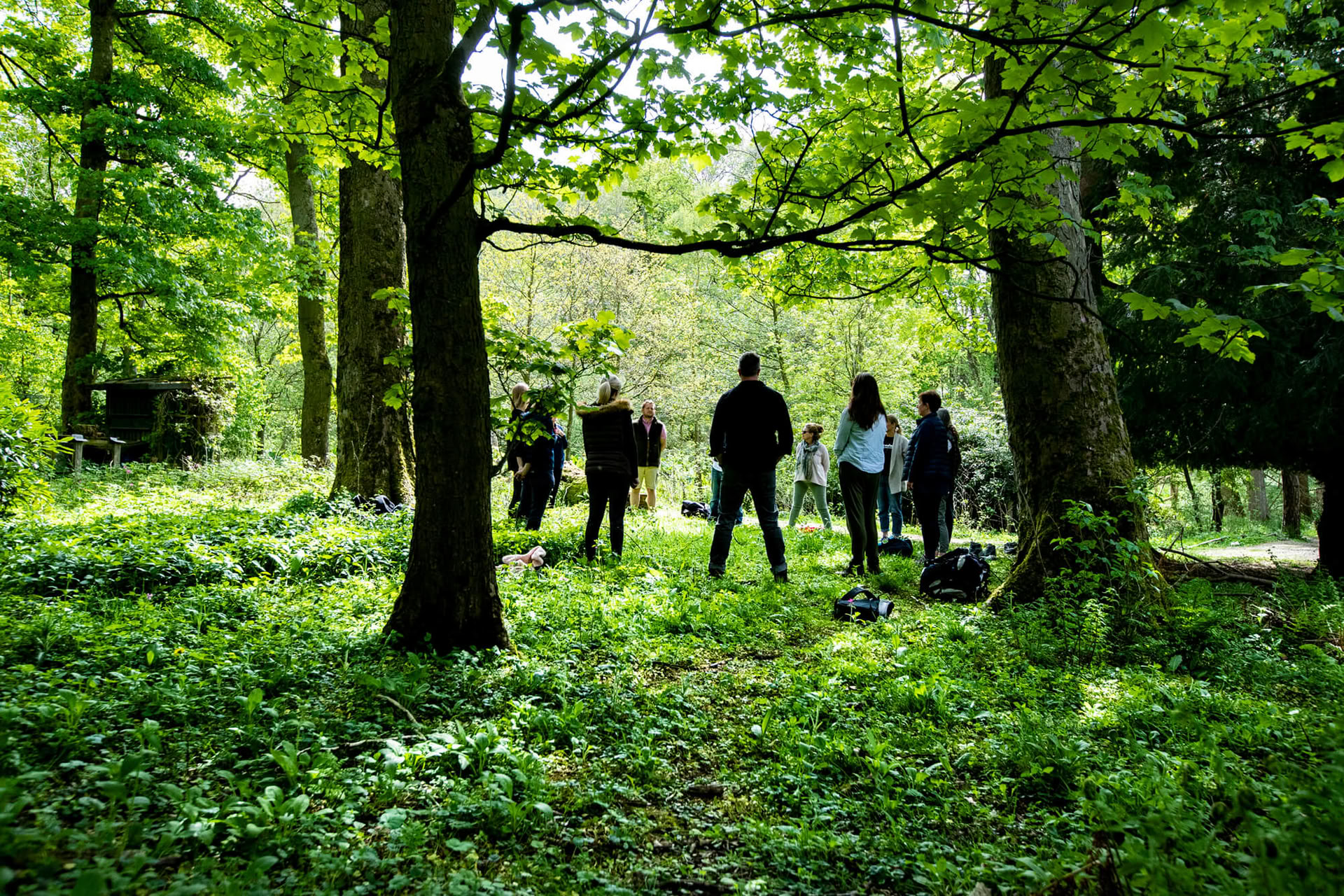 Immersion à Broughton