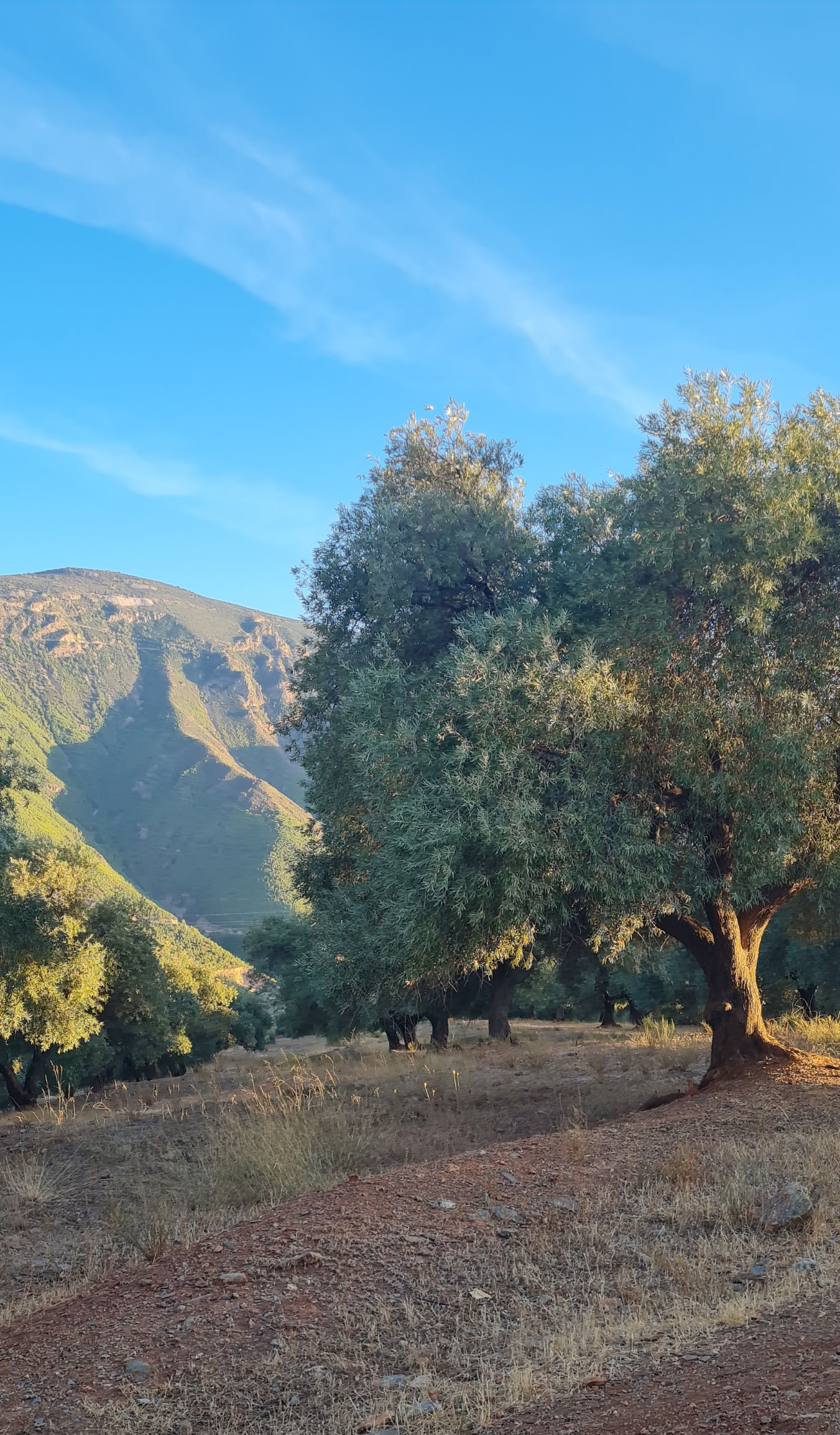 Retraite de 6 jours dans la nature et de yoga