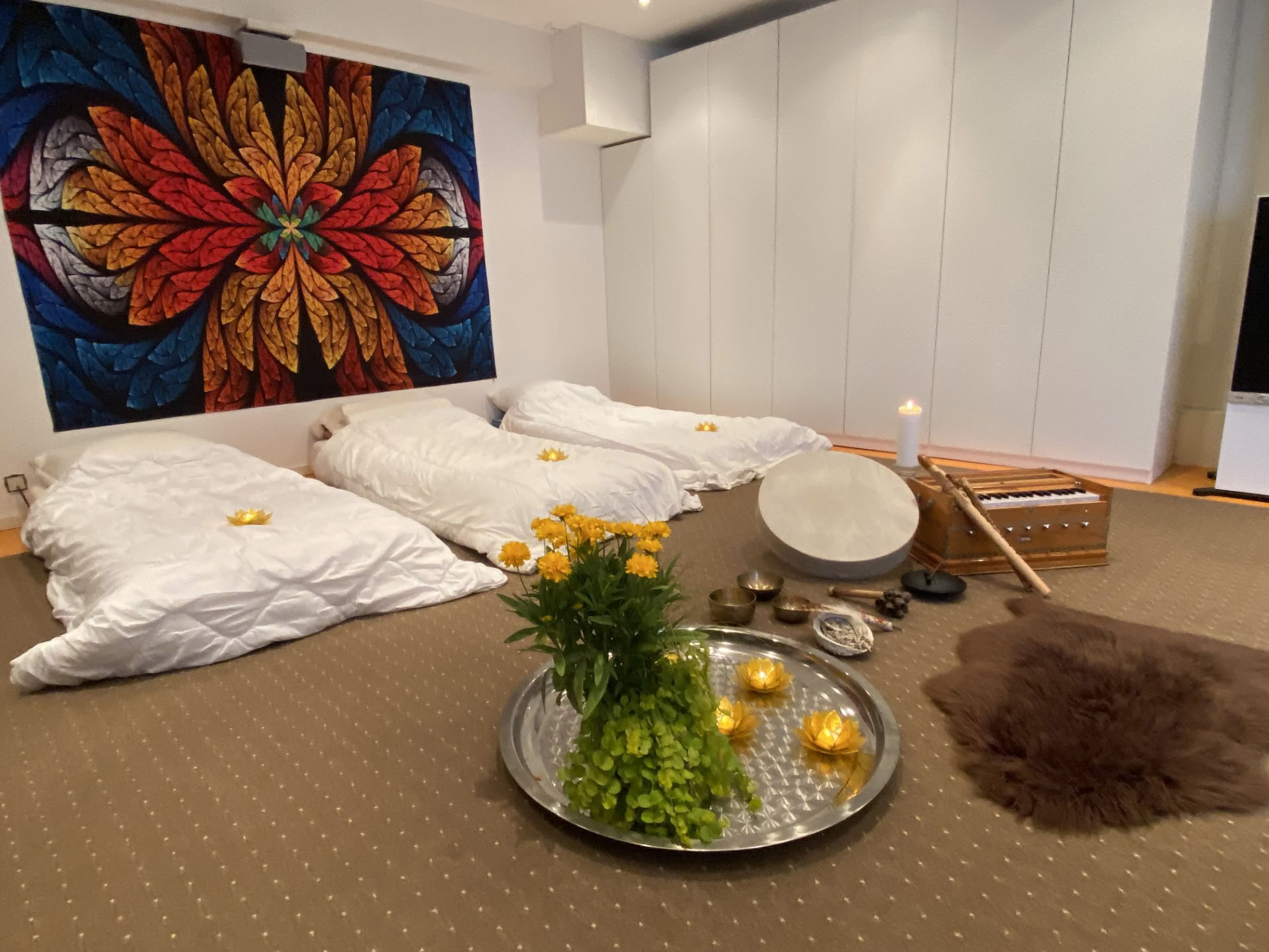 Séance privée d'ayahuasca