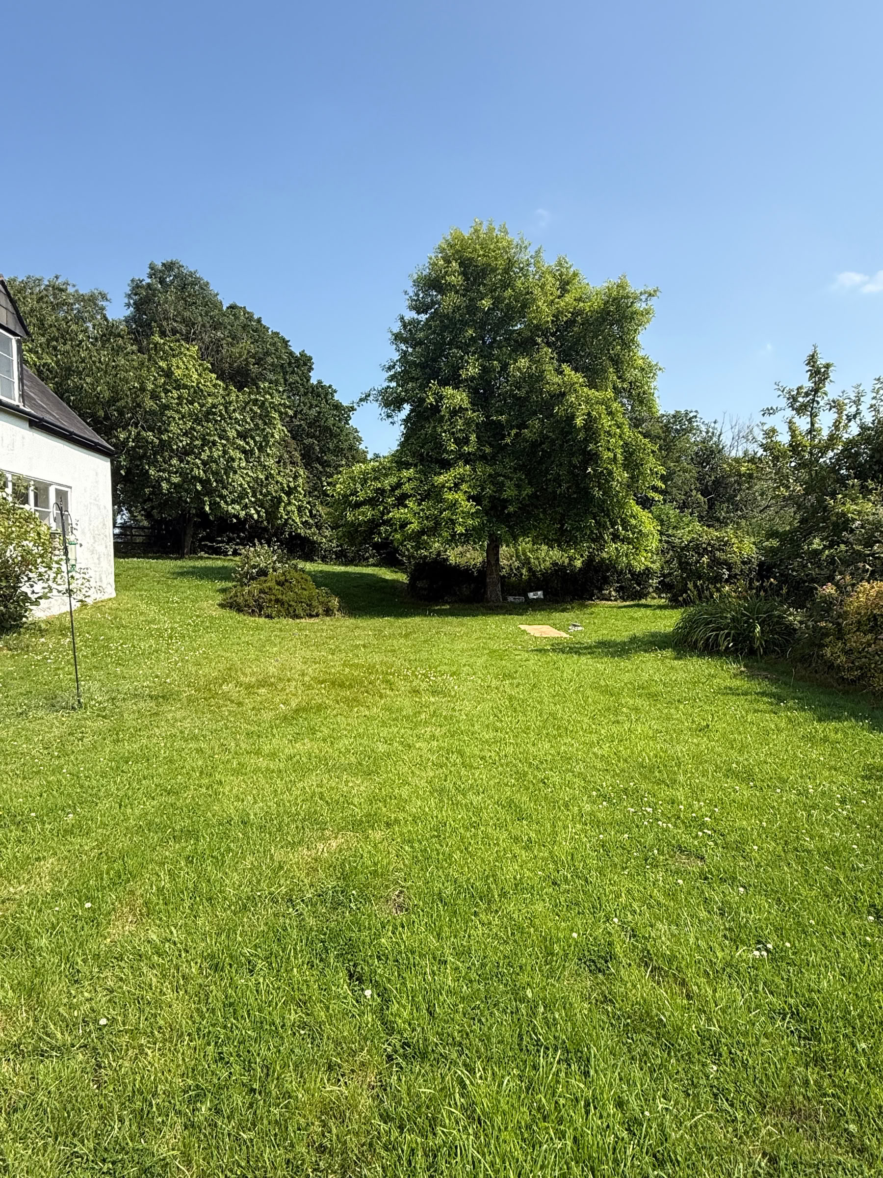 Yoga dans le jardin