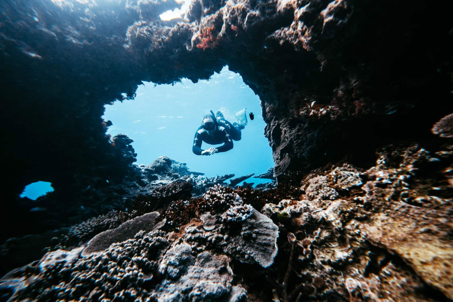 Plongée en apnée à Lady Elliot Island et invitation sur invitation uniquement