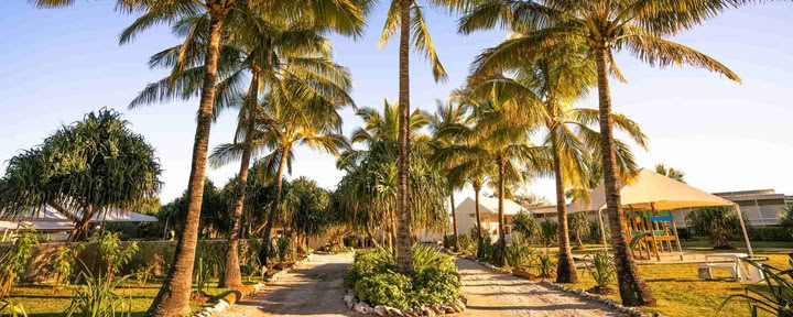 Plongée en apnée à Lady Elliot Island et invitation sur invitation uniquement