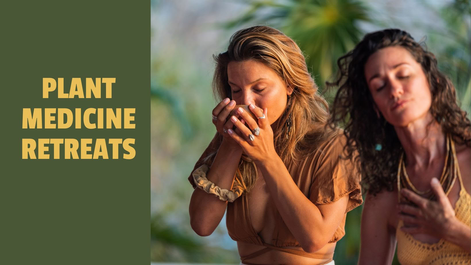 Retraites de médecine des plantes