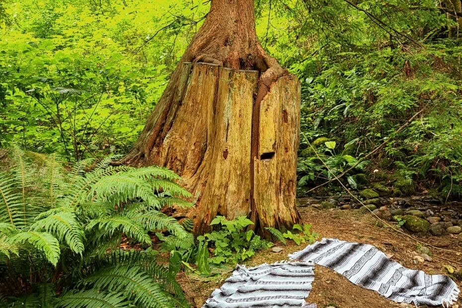 Yoga et camps de mouvement et de pleine conscience inspirés par la résilience pour enfants