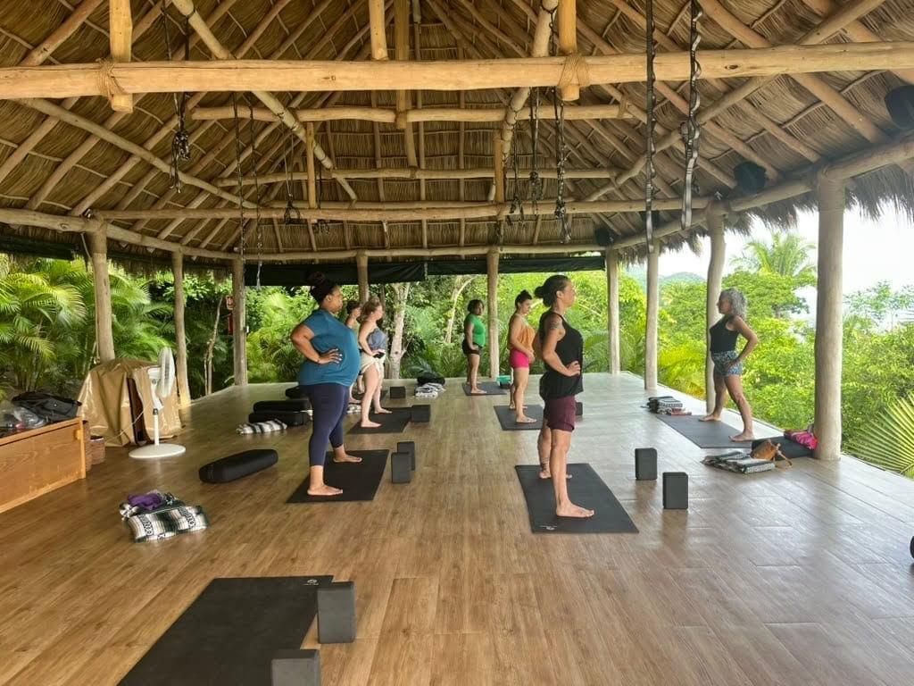 Retraite bien-être et yoga Iyengar pour interprètes en langue des signes