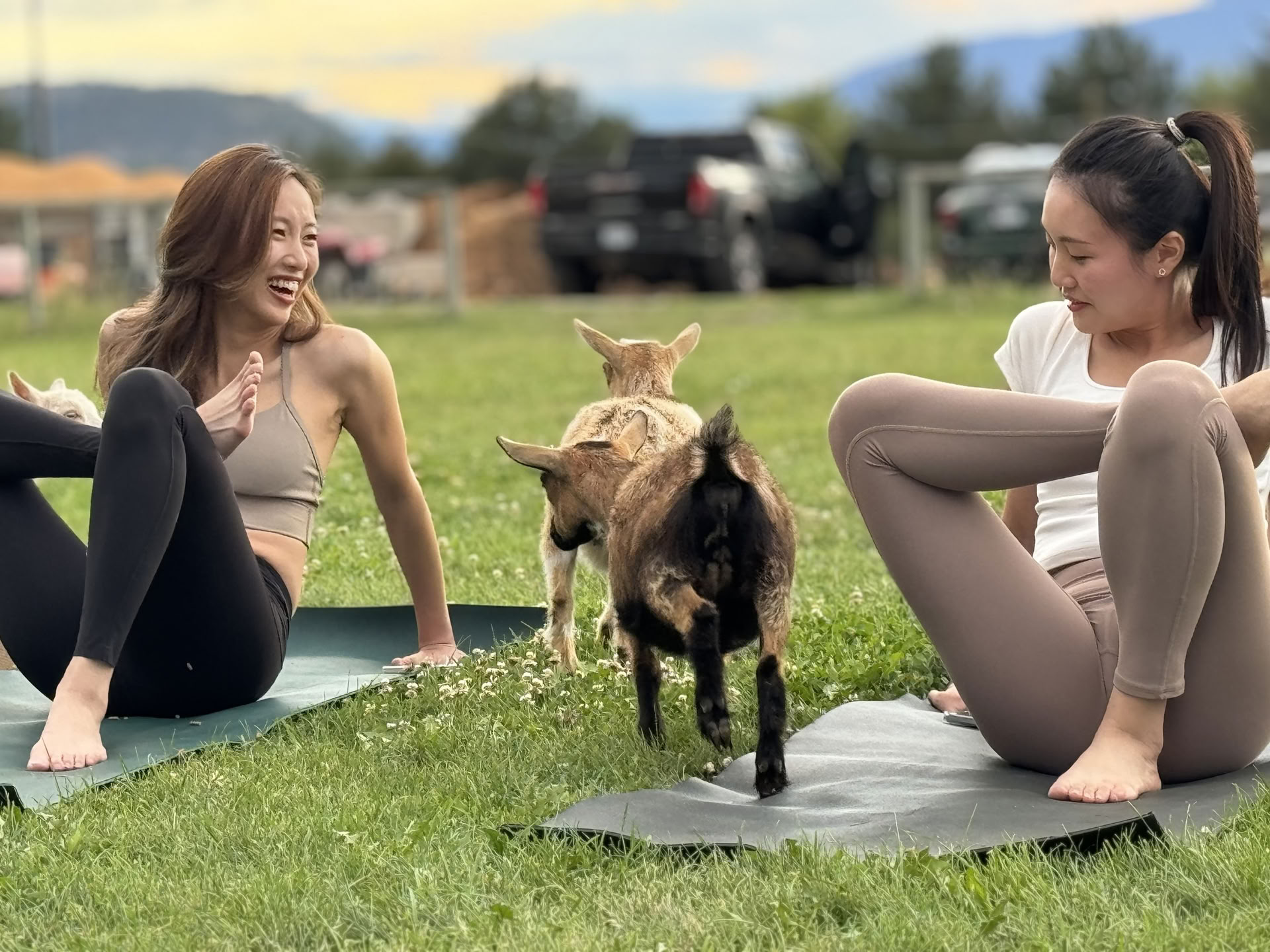 Flow au bord du quai : yoga et méditation sur le lac Okanagan !
