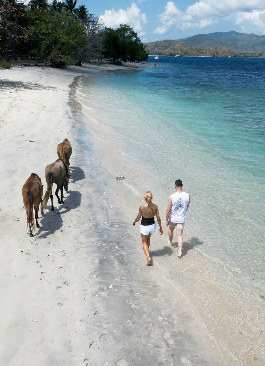 Marche à cheval