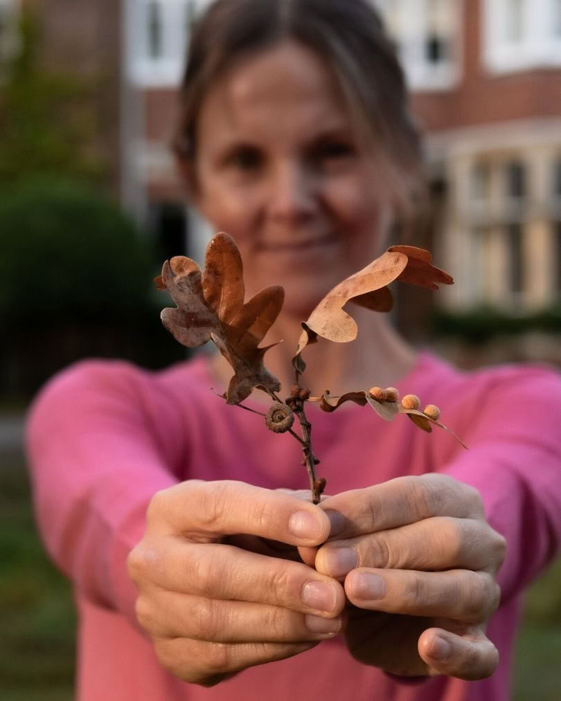 Retraite de yoga d’automne