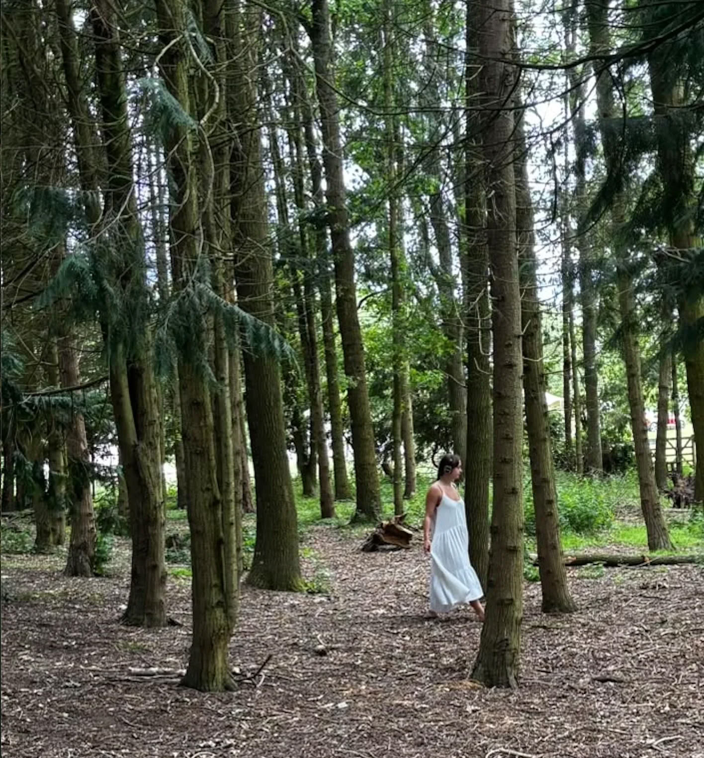 Willowbrook Glamping — retraite enwild