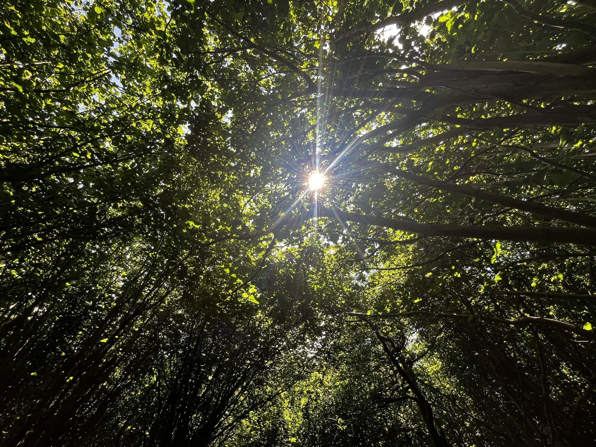 Retraite familiale en pleine nature