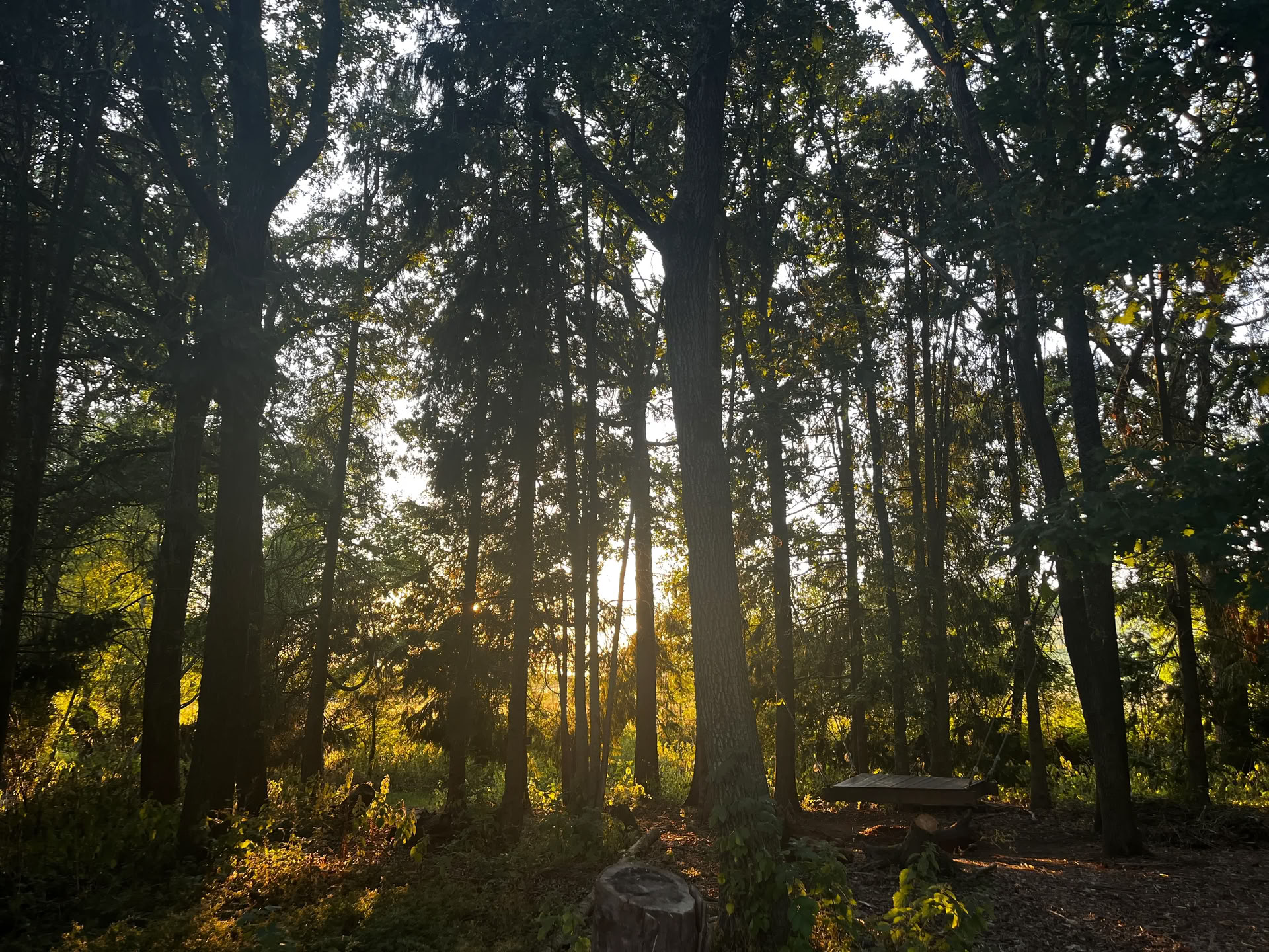 Retraite familiale en pleine nature