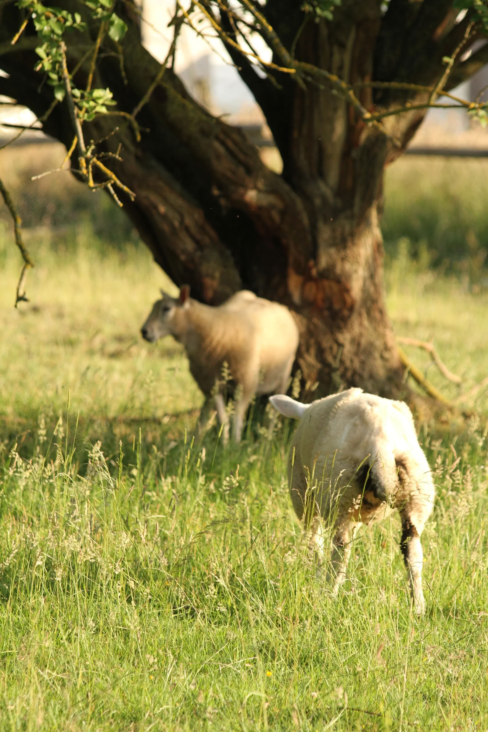 Retraite familiale en pleine nature