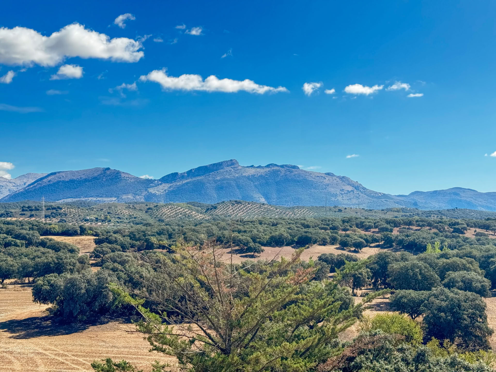 Louer la Finca La Lola