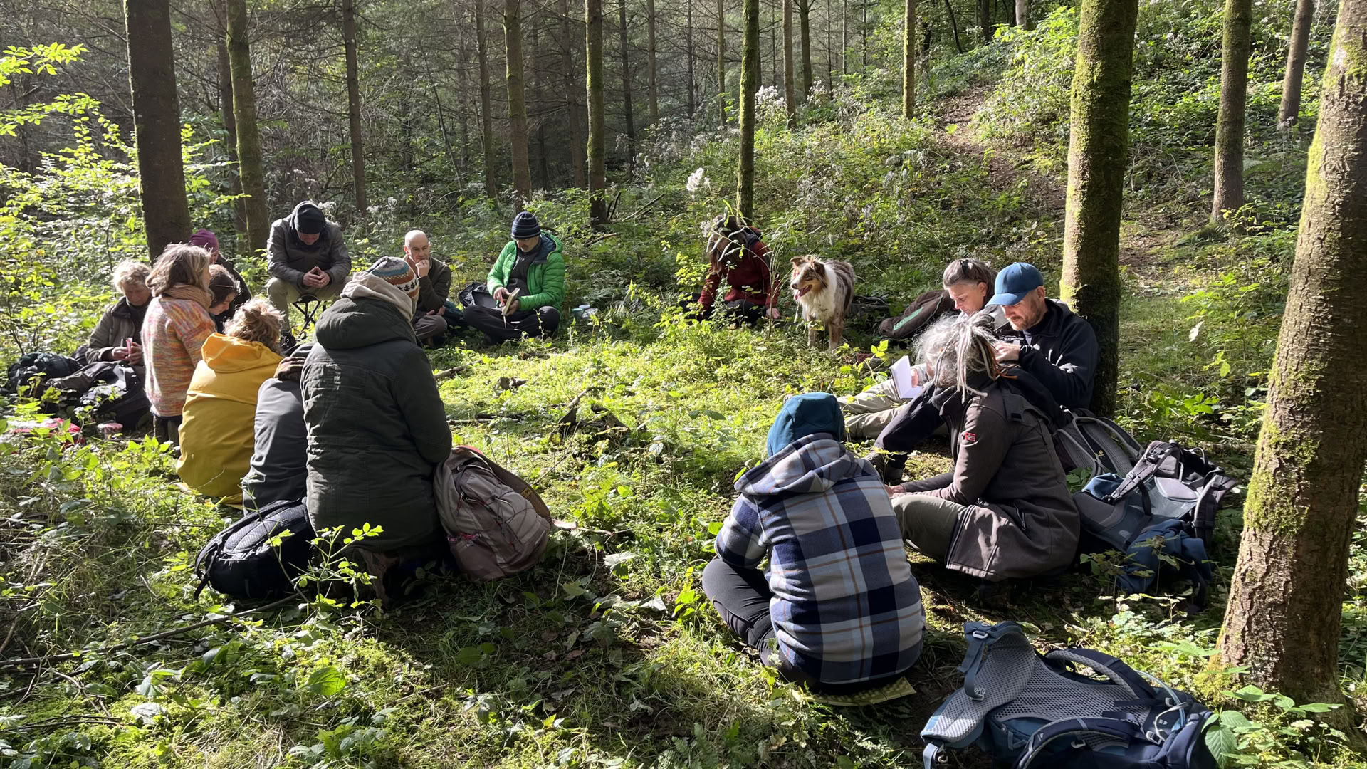 Formation annuelle Nature & Soul 2027 – du 15 mai au 14 novembre 2027