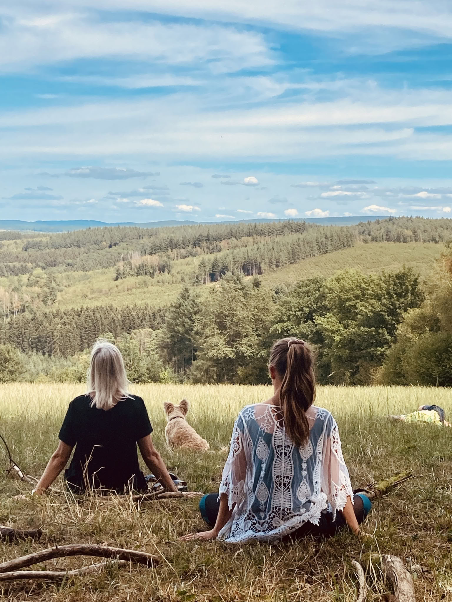 Formation Mirroring pour accompagnateurs nature et coachs – du 22 au 25 octobre 2026 – DERNIÈRES 2 PLACES