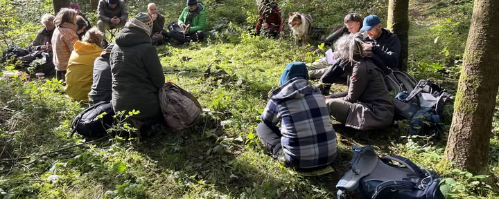 Formation Mirroring pour accompagnateurs nature et coachs – du 22 au 25 octobre 2026 – DERNIÈRES 2 PLACES