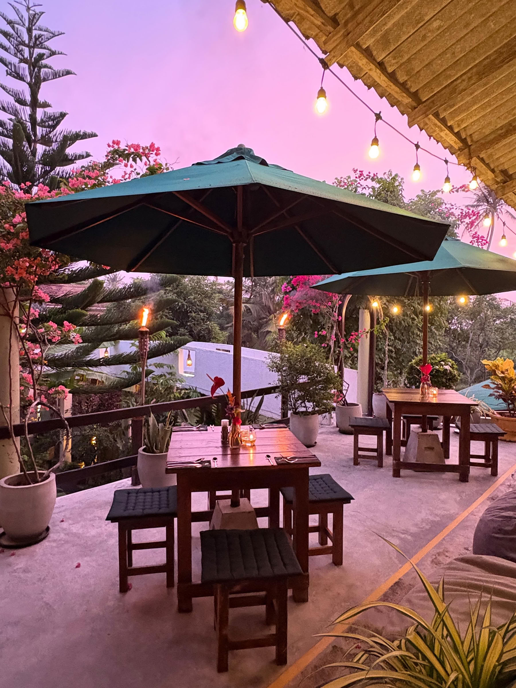 Retraite intensive de 8 jours de yoga, de travail respiratoire et de méditation au Sri Lanka