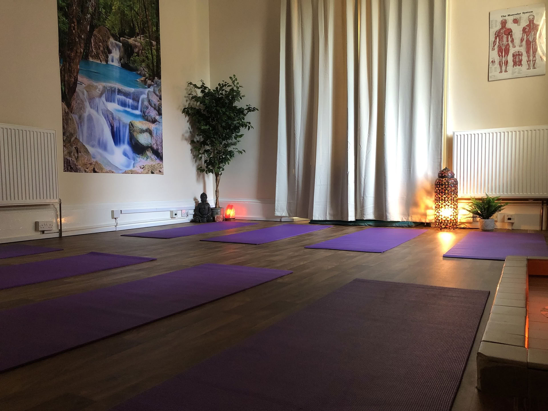 Mini retraite de yoga matinale — Holistic Essences