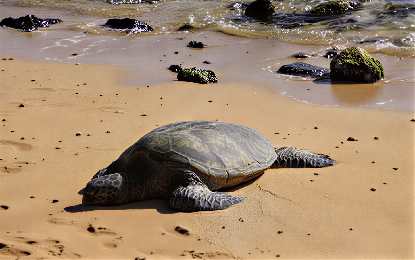 Retraite de yoga à Kauai, Hawaï