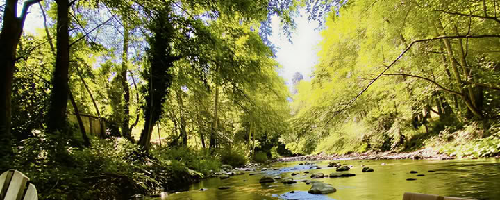 Coaching en résilience au stress