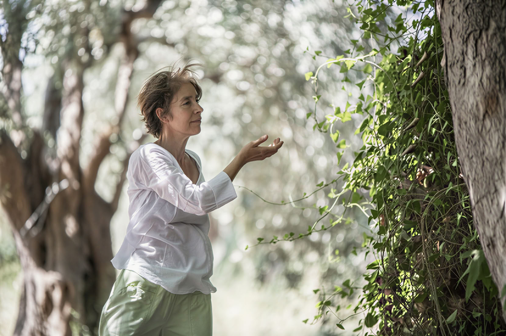 Retraite de Tai Chi Qigong