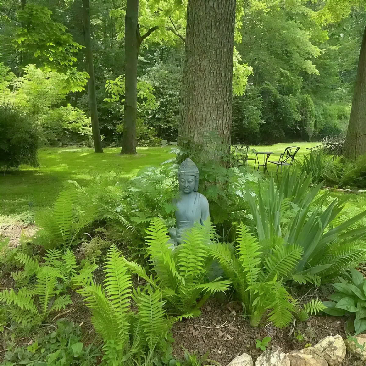 Chakras en mouvement
