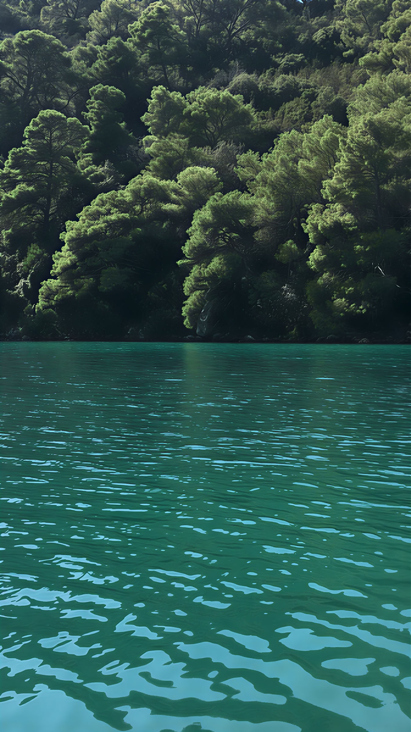 Expérience de retraite à Mljet