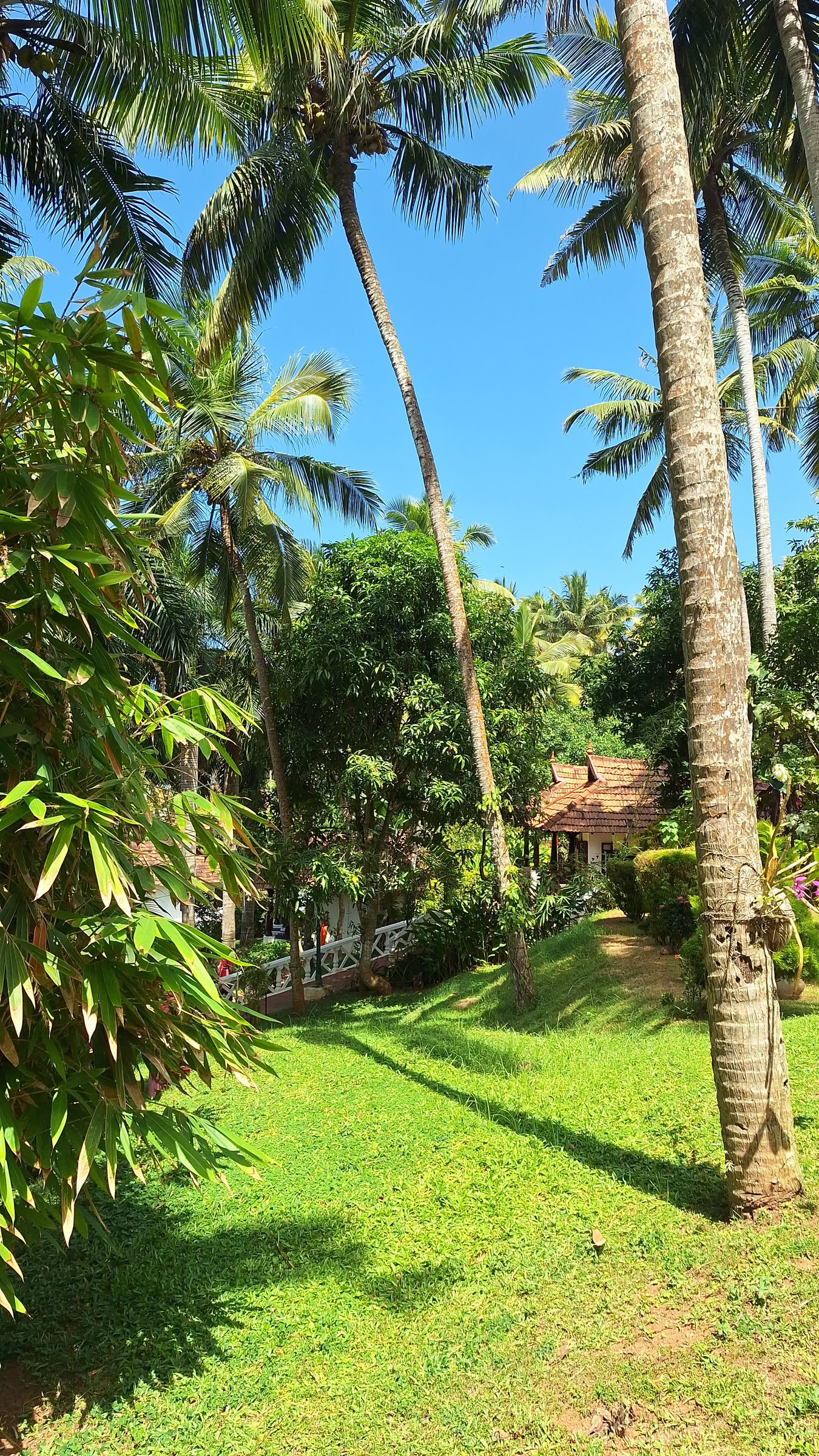 Inde, climatisation, cottage, double