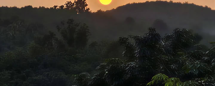 Retraite bien-être au Kerala