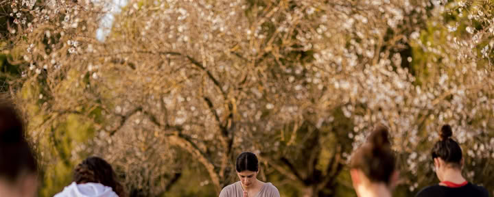 Vinyasa yoga à IBIZALOE (San Antonio)