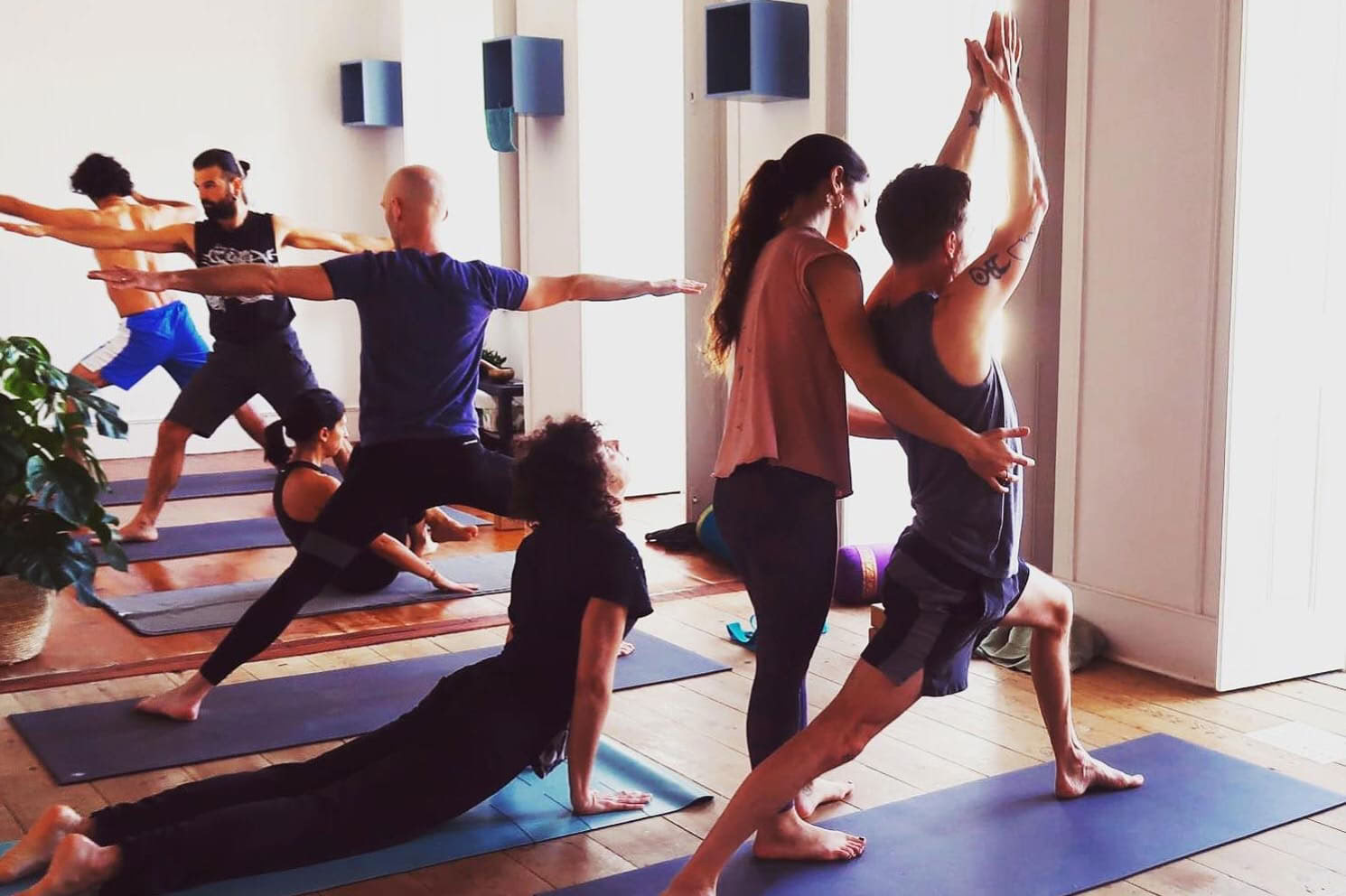 Formation de professeurs de yoga Ashtanga Vinyasa 2026