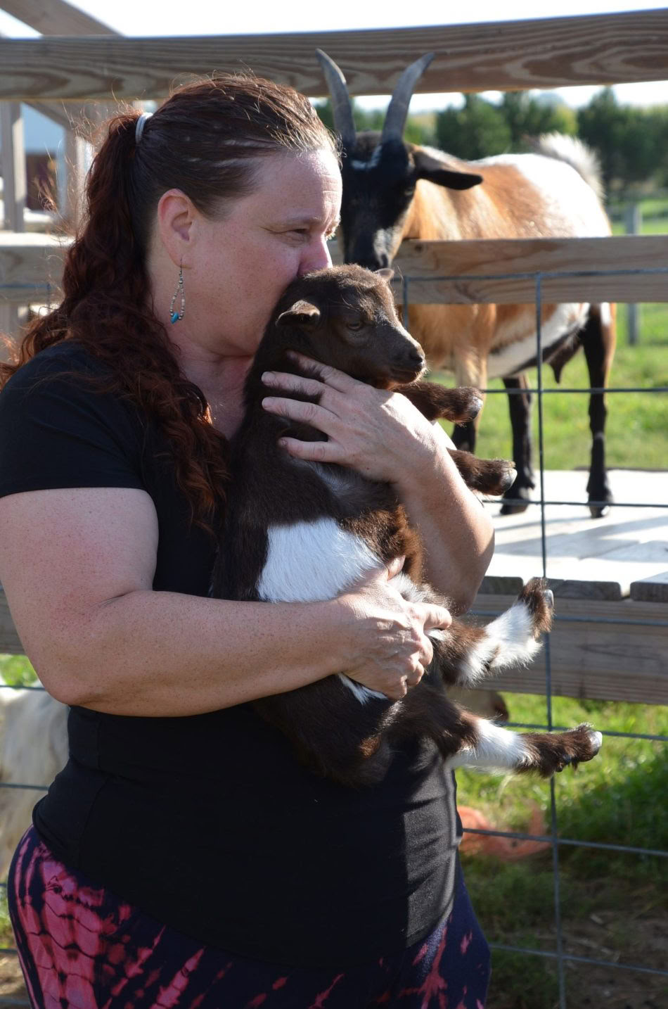 ICRT Reiki pour animaux I et II