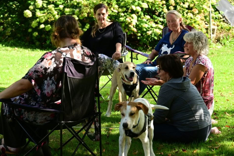 ICRT Reiki pour animaux I et II
