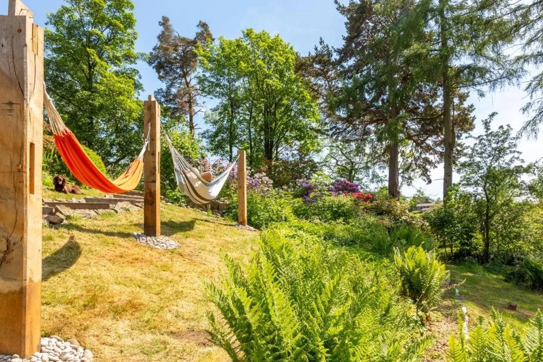 SUP pour débutants, yoga, baignade sauvage et sauna