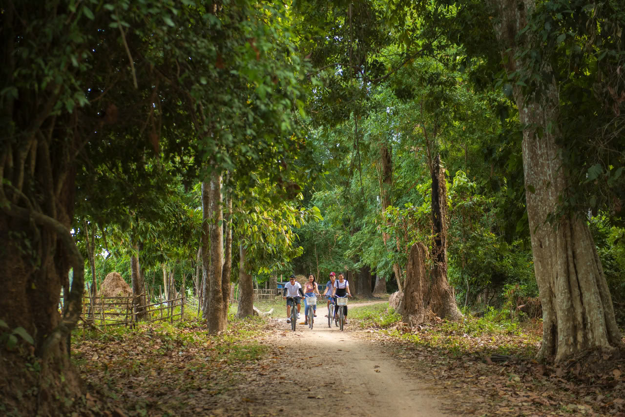 Tour à vélo