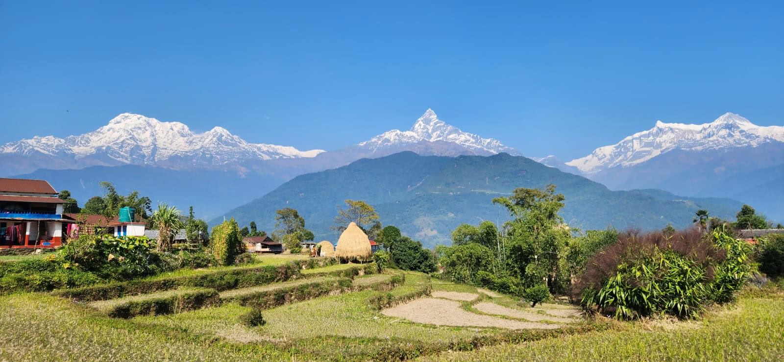 Formation de professeurs de yoga de 200 heures avec vue sur l’Himalaya à Astam, près de Pokhara