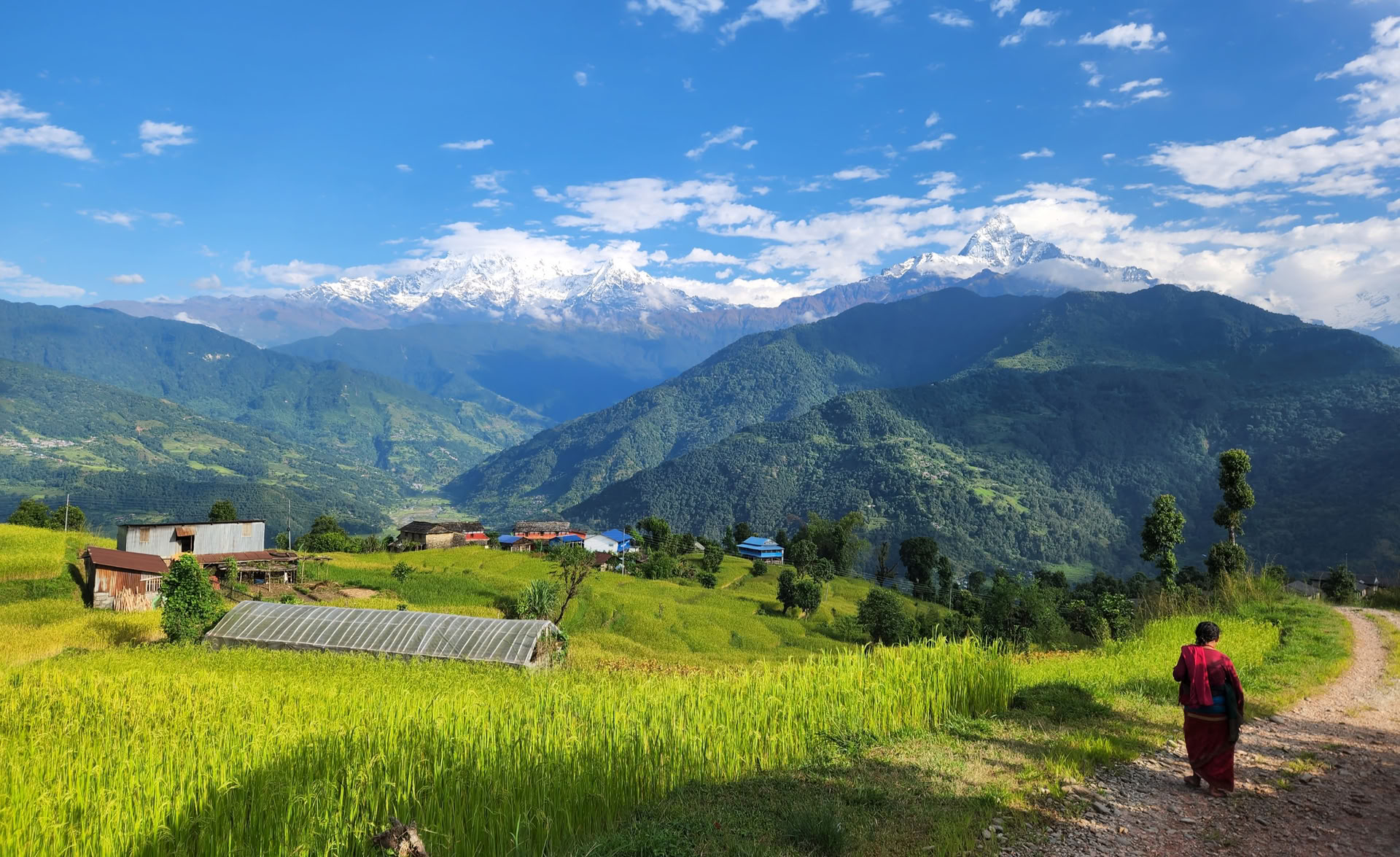Cours de formation de professeurs de yoga avec vue sur l’Himalaya