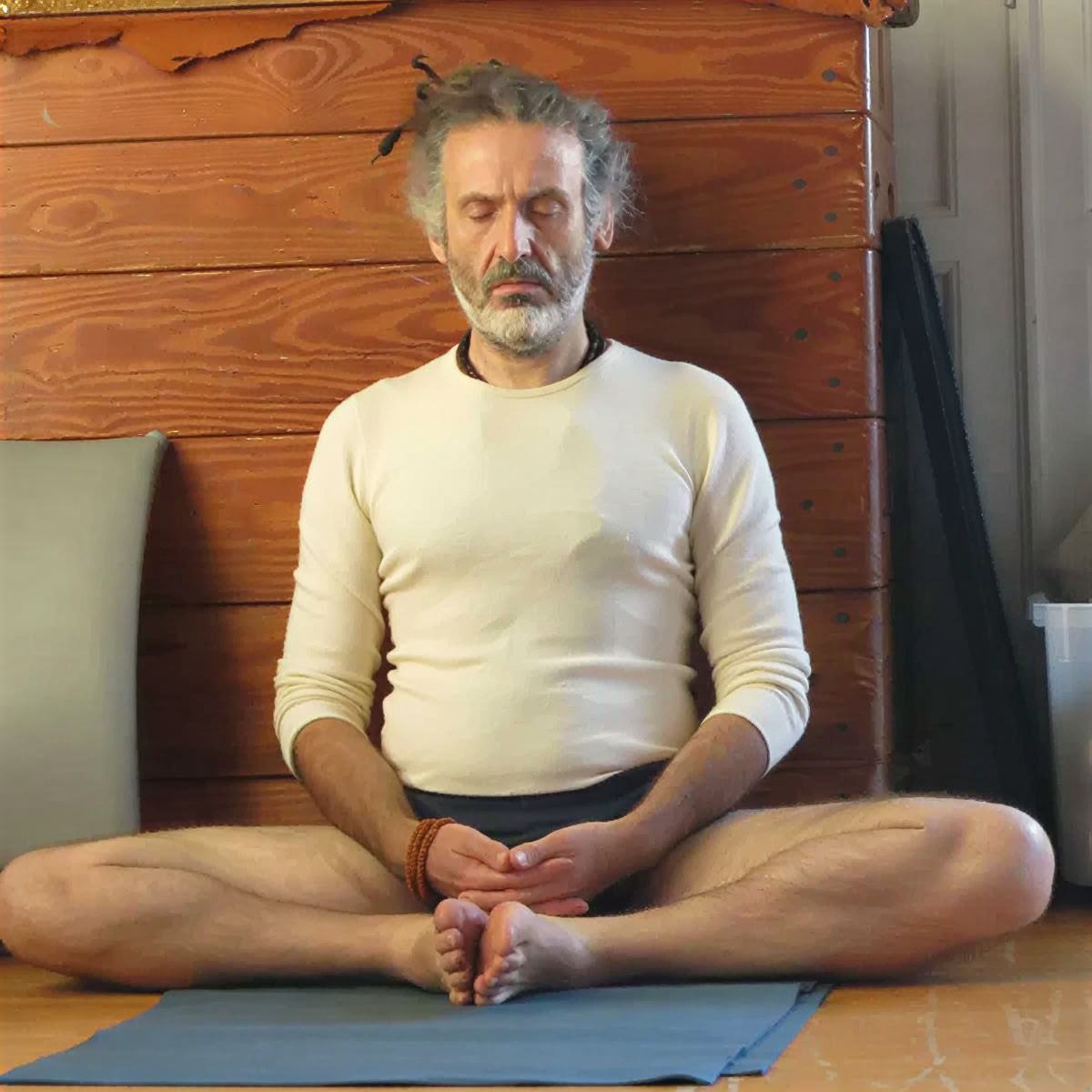 Atelier de yoga Iyengar avec Christian Pisano