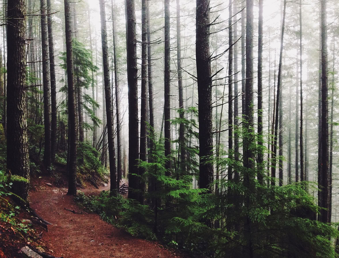 Poonhill - Trek de yoga