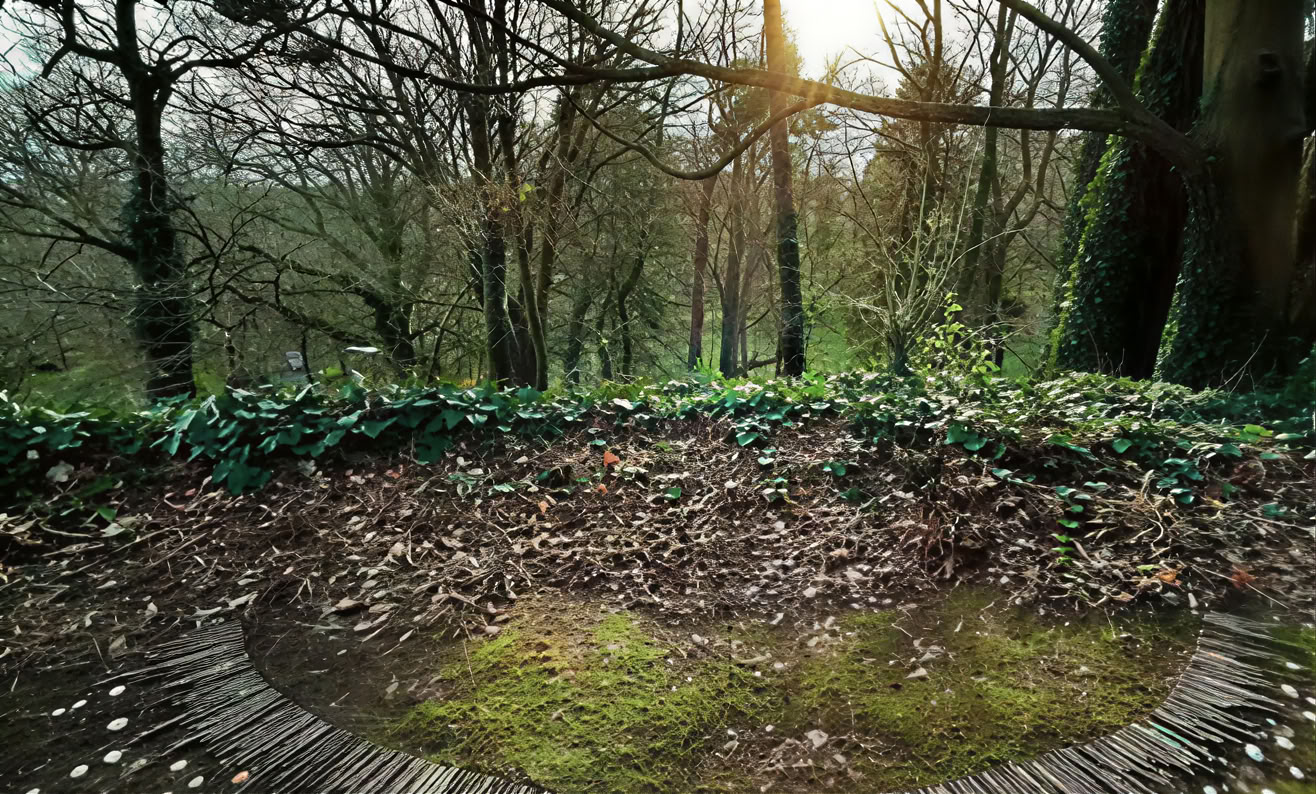 Vibration consciente — Mucklagh Lodge